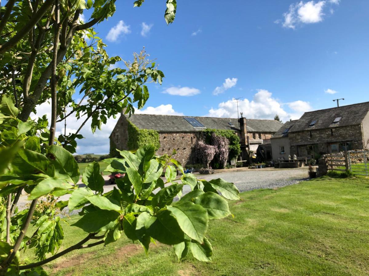 Crosby Ravensworth Crake Trees Manor B&B 외부 사진