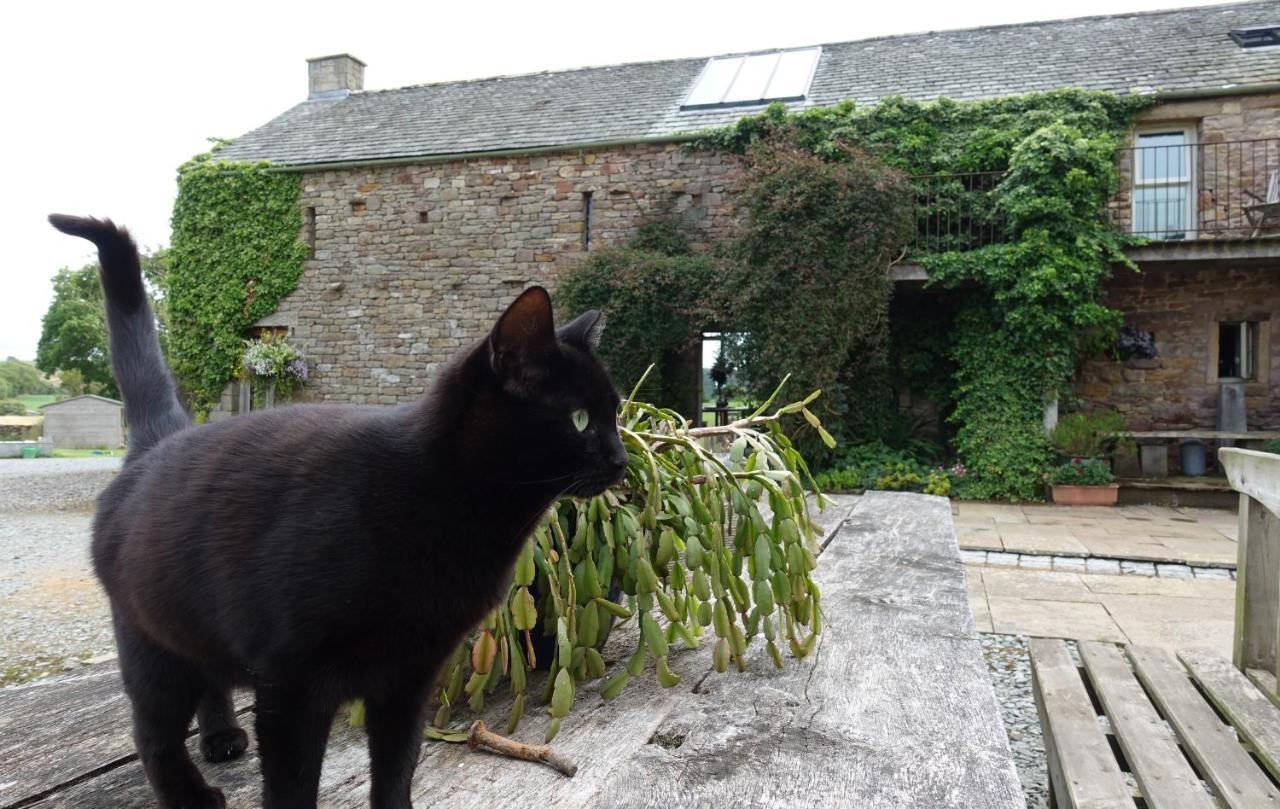 Crosby Ravensworth Crake Trees Manor B&B 외부 사진